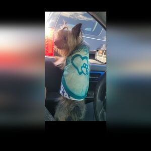 Custom Dog And Cat Shirt Multi Colors.